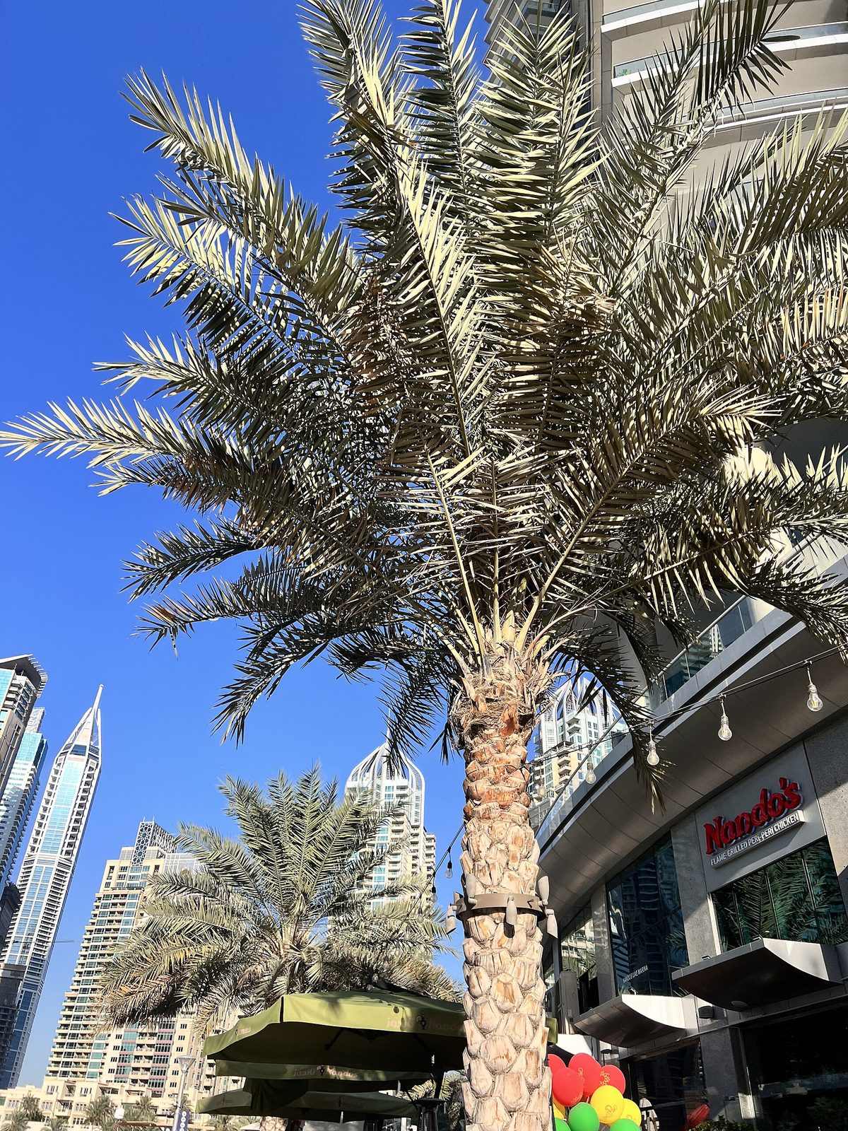 Dubai Marina skyline